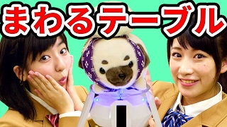 【クレーンゲーム】ターンテーブルで最近ゲットした景品をプチ紹介！