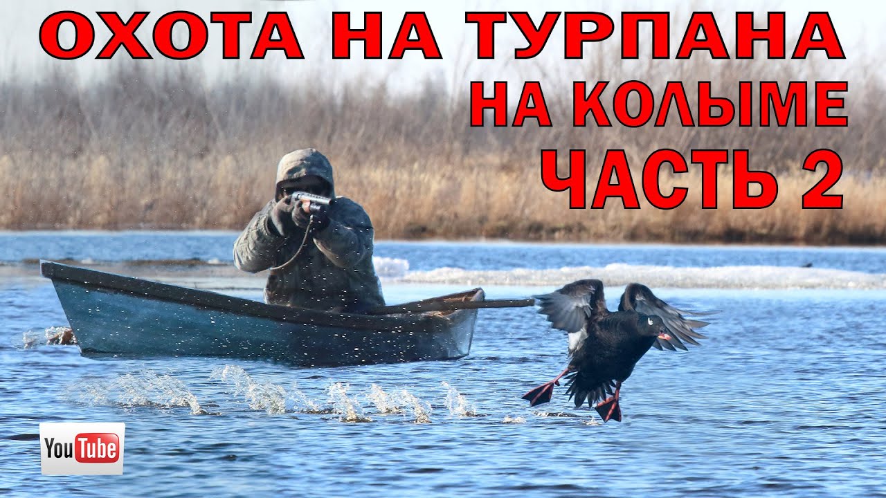 ОХОТА НА ТУРПАНА НА КОЛЫМЕ ЧАСТЬ 2. ОХОТА НА УТКУ В ЯКУТИИ. DUCK HUNTING IN SIBERIA