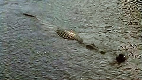 Crocodile snatches man in front of 15 people at wilderness retreat in Australia
