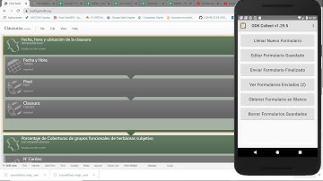 Toma de datos a campo con o sin señal de internet y almacenamiento en una planilla excel-Tutorial 1