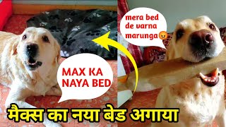 Max ka नया बेड अगाया 😍 : labrador dog funny video : dog can talk by At Mix Vlogs 351 views 7 months ago 4 minutes, 57 seconds