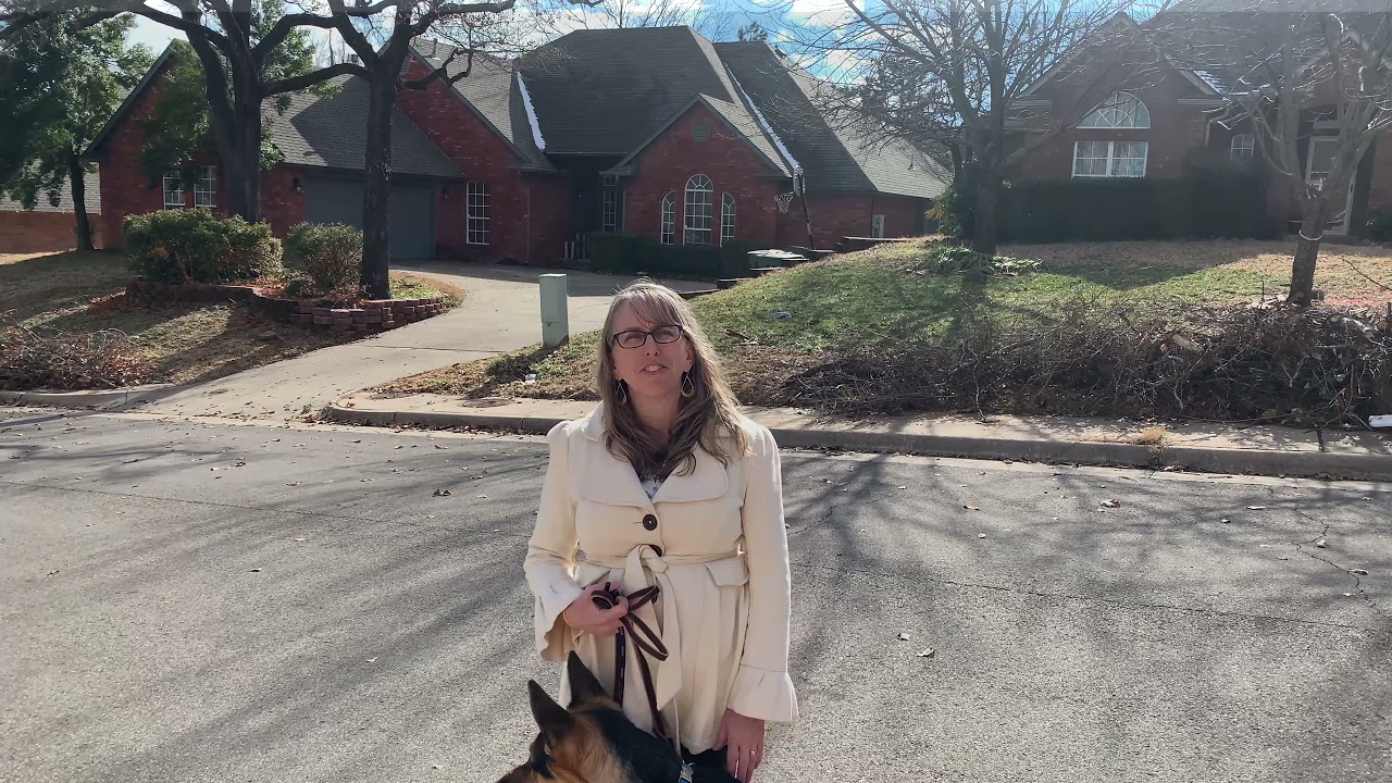 Tip Top K9 Reviews OKC Dog Board and Train Tip Top K9 YouTube