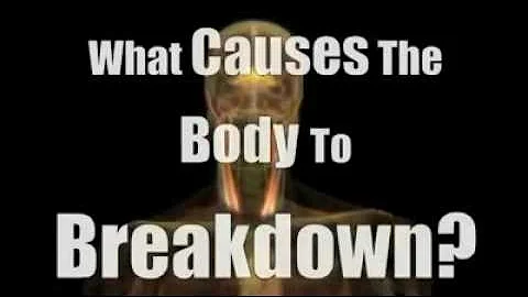 Chiropractic LifeCenter Franklin Park, NJ 08823 - ...