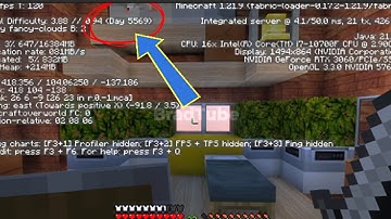 How to See Day Count in Minecraft Java 1.21.9 version or Higher