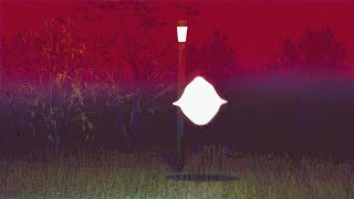 Untitled forest