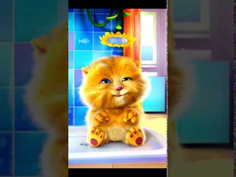 PINTINHO AMARELINHO GALINHA PINTADINHA MEU PINTINHO AMARELINHO PATATI PATATA