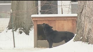 Trumbull Co. leaders meet to toughen animals laws
