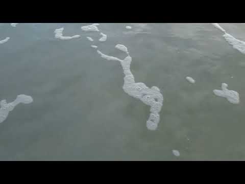 james trisler sun splash park daytona beach 9.18.22