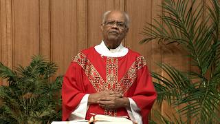 Catholic Mass Today | Daily TV Mass, Friday September 25, 2026 News