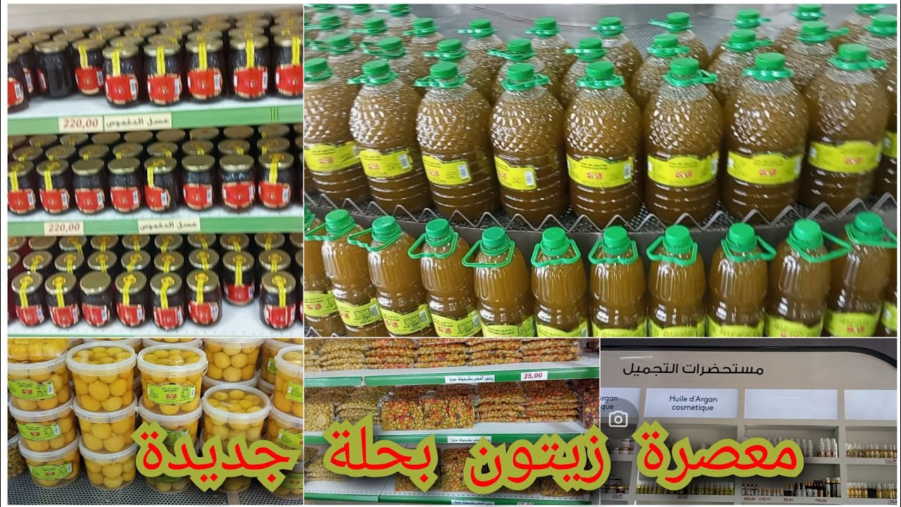 جولة في أكبر معصرة زيتون بمدينة بني ملال كل شي فيها طبيعي 💯