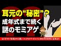 耳元の“秘密”?──成年式まで続く謎のもみあげ