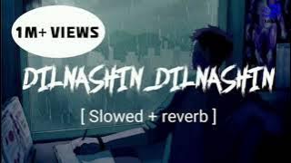 Dil nashi Dil Nashi [Slowed X Revarb]