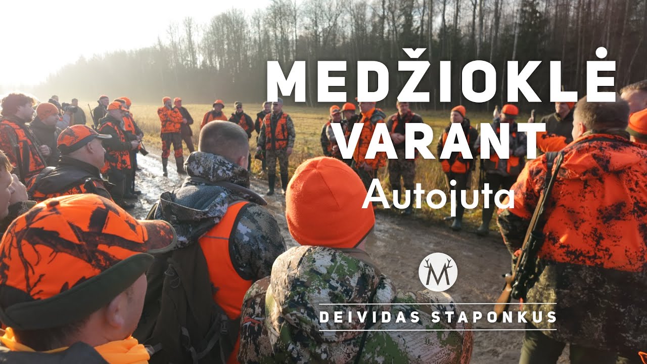 Tradicinė „Autojuta VW“ medžioklė varant