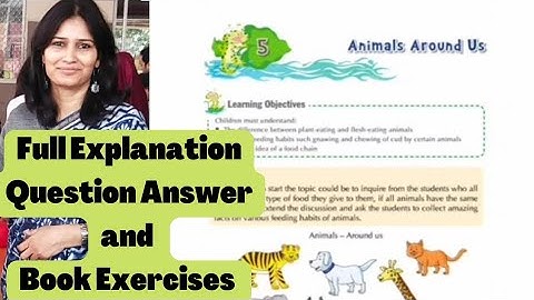Animals Around Us | EVS Chapter 5 | Class 3 | APS | Full Explanation |Question Answer| Mrs Sangeeta