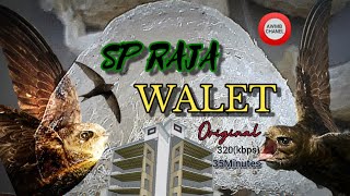 SP Raja Walet Original