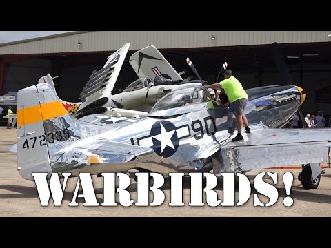 Engine Noise! P-51 Mustang, B-25H Mitchell, EA1-E Skyraider, Piper L-4J and More!