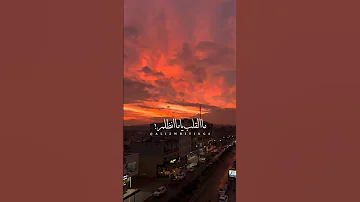 يفيد بإيه الندم ما القلب ياما انظلم جورج وسوف حالات واتس اب حزين 