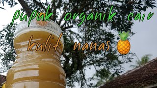 Pupuk organik cair dari kulit nanas screenshot 5