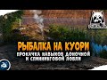 Русская Рыбалка 4 — Прокачка навыков на озере Куори