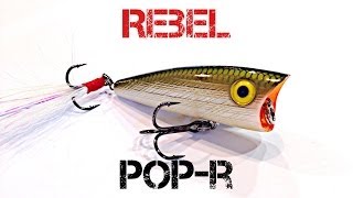 Lure Review - Rebel Pop - R
