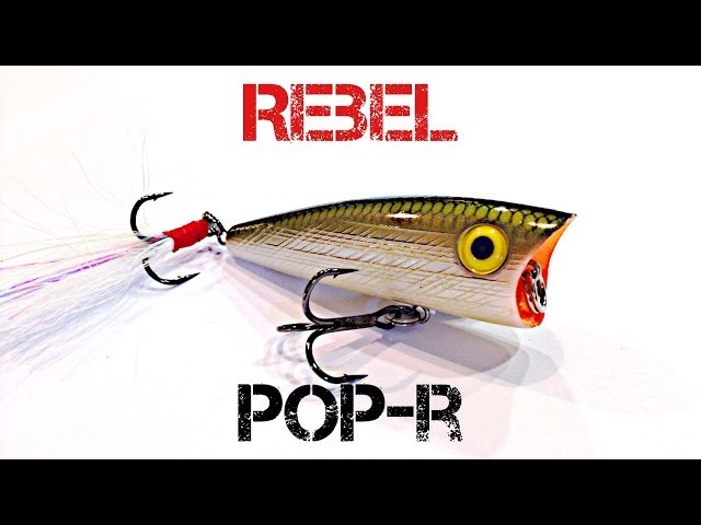 Lure Review- Rebel Pop-R 