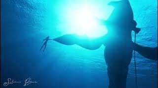 Avatar 2 Trailer Music Collection (The Way of Water)