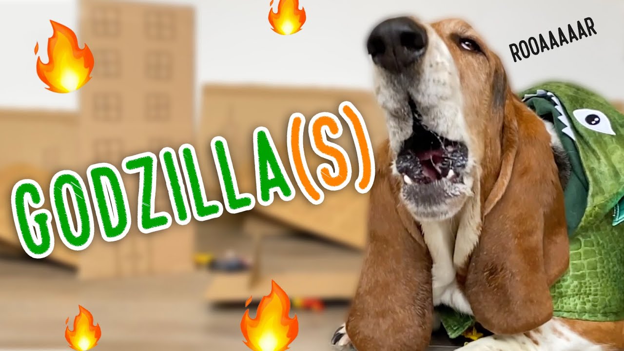GODZILLA bassets! 🔥