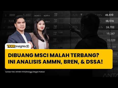 Ini Sebab  Saham yang Dikeluarkan MSCI Naik? Saham Makin Undervalued Usai MSCI Rebalancing? Cek Ini