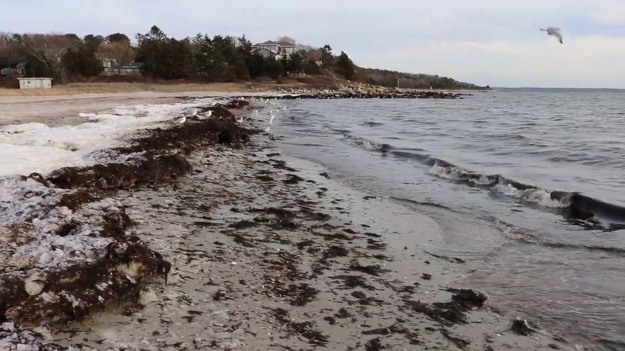 Little Harbor Beach in Wareham YouTube