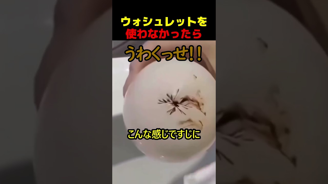 ウォシュレットの重要性