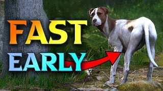 How To Get Mutt FAST & EARLY - KCD 2 Dog Location