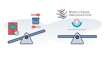 Customs 101 - How Do Customs Agencies Vary Internationally