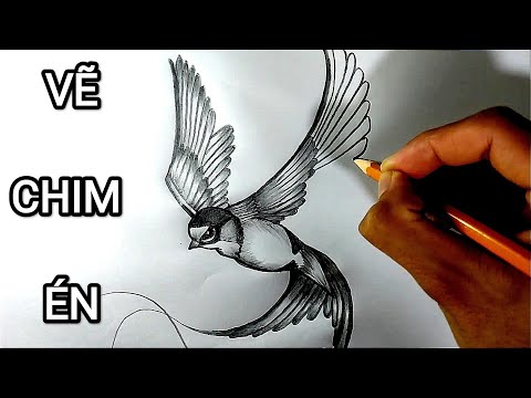 Tranh Vẽ Chim Én - Vẽ CHIM ÉN bằng bút chì | How to draw a Swallows