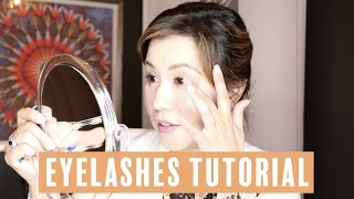 Beauty Tips How To Apply False Eyelashes By Ms. O