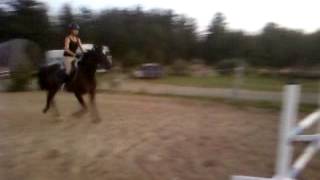 Jumping my standardbred 6/6 --RAWW--