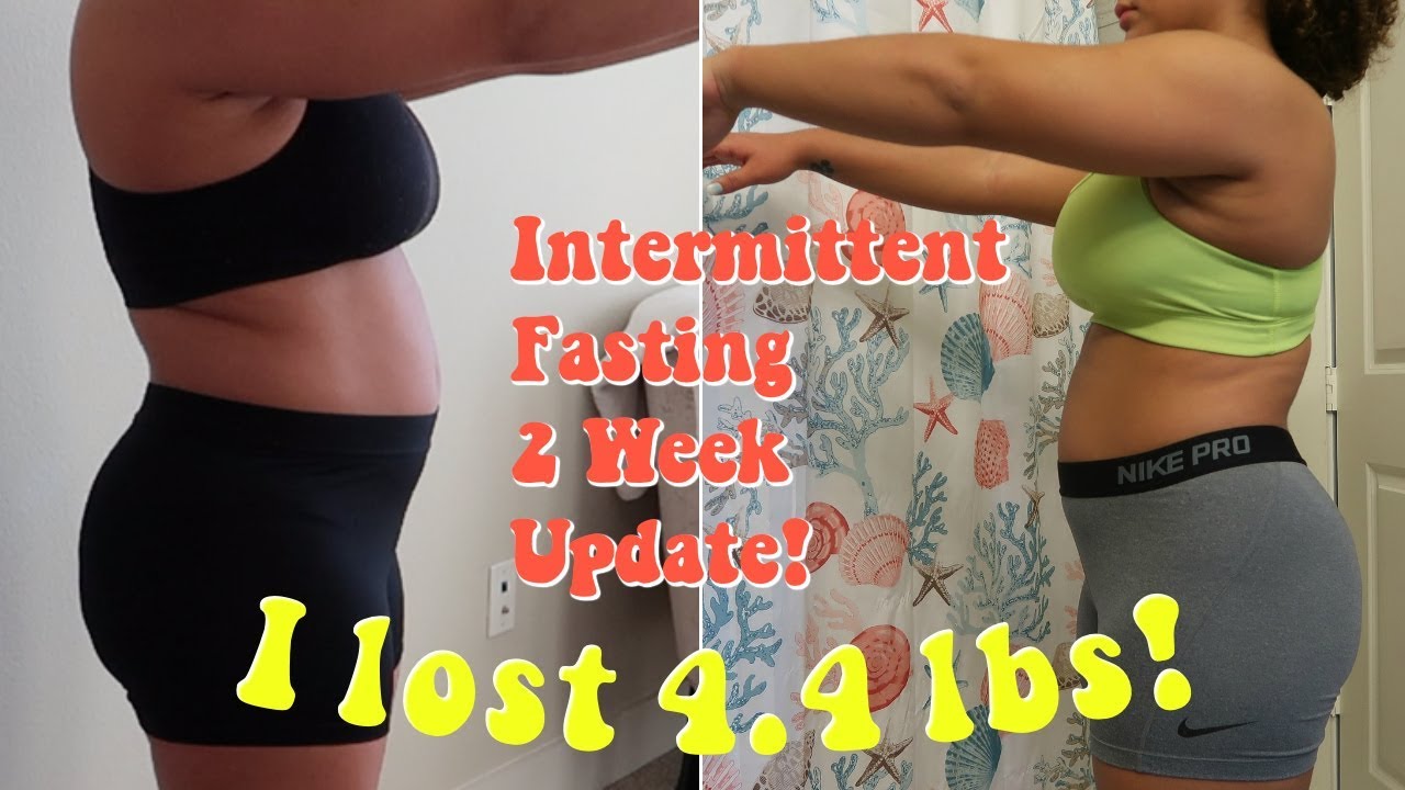 weight loss journey 2019 -ntermittent fasting results 2 weeks - YouTube