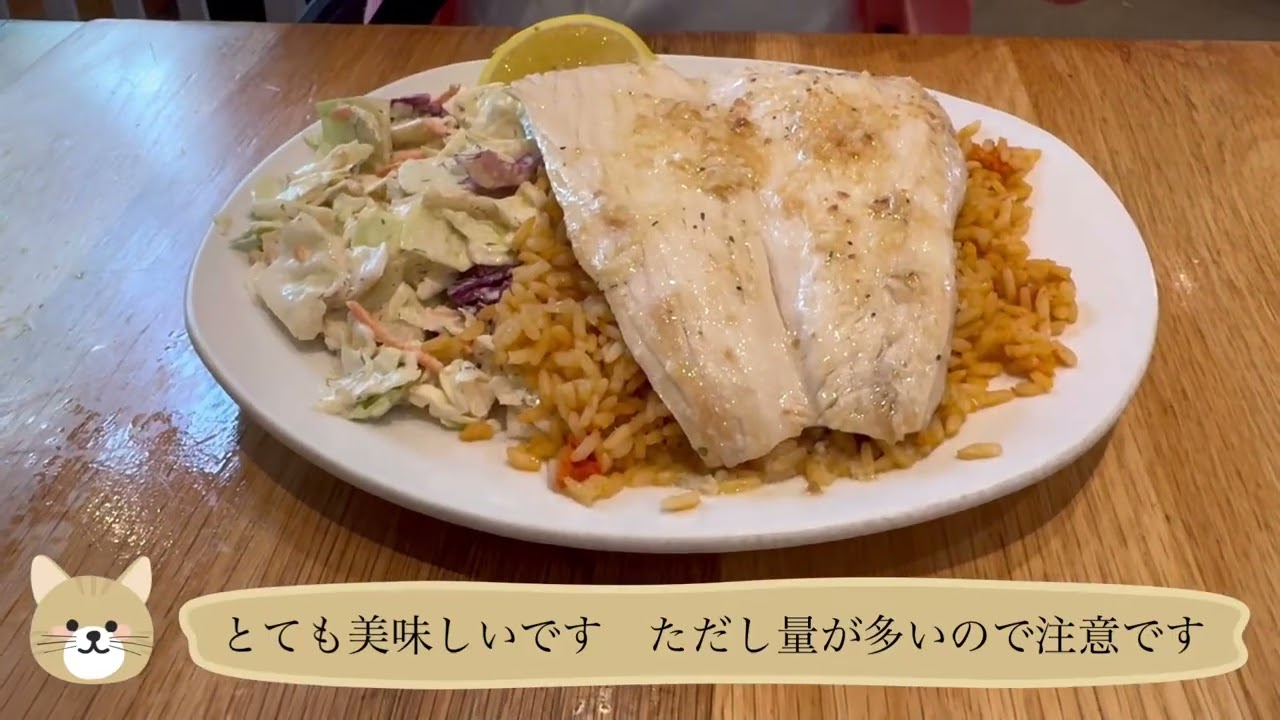 30泊32日 ハワイ　11月20日カイルアの町並み