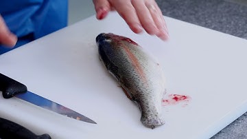 Master Fishmonger Standard Guide to Canoe Filleting - Trout