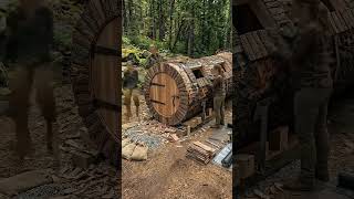 Would You Stay Inside This Secret Forest Cabin? 🌲 #shorts #travel
