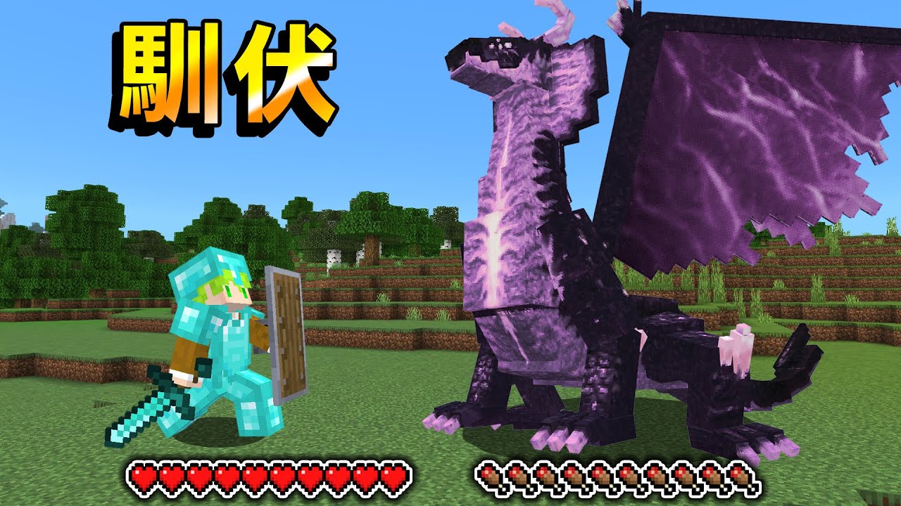 Minecraft 最強古龍，擊敗後能馴服『9種傳說巨大飛龍』生存，每種體型都超級誇張 - YouTube
