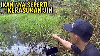 IKANNYA LAPAR BUKAN MAIN BARU SAJA DI LEMPAR LANSUNG DI SAMBAR