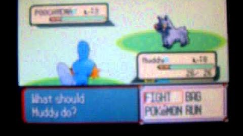 Pokemon Ruby Walkthrough Part 2: First Rival Battle