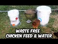 No Waste Amazon Chicken Feed and Water Containers | Lil Clucker