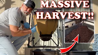 This Urban Worm Bag Harvest Completely Shocked Me After 4 Months | Vermicompost Worm Farm