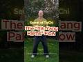 Secret of TaiChi: The "Yin Yang Palms" Flow #taichi #shorts #viral #healthybody
