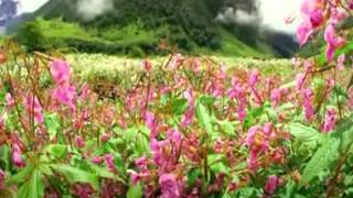 Woman In Love three Degrees  Cover