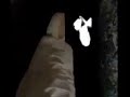 سؤال الملكين لا لحظه خروج الروح