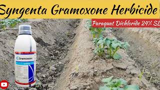 Syngenta Gramoxone Herbicide // paraquat Dichloride 24% SL