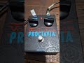 Proctavia octafuzz Voodoo Lab @voodoolabofficial #shorts