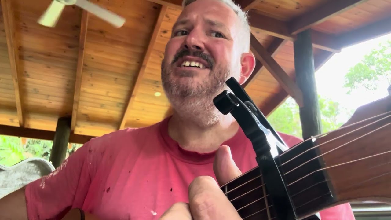 Ball Park Music - It’s nice to be alive (Cover by Paul Charles)